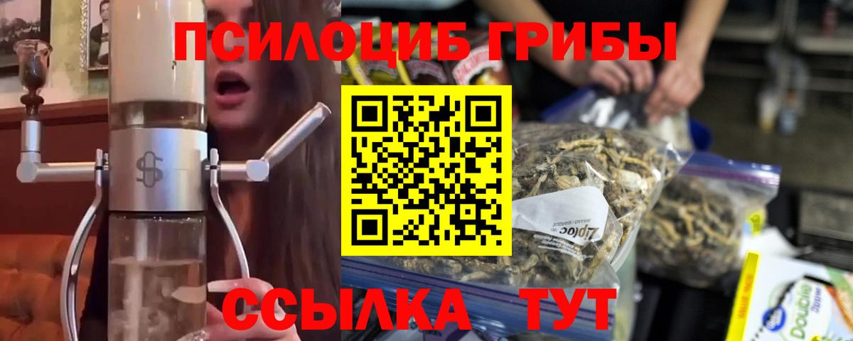 Отрадный  наркотики  Вход с VPN  Псилоцибиновые грибы Psilocybine cubensis  Галлюциногенные грибы мицелий 
