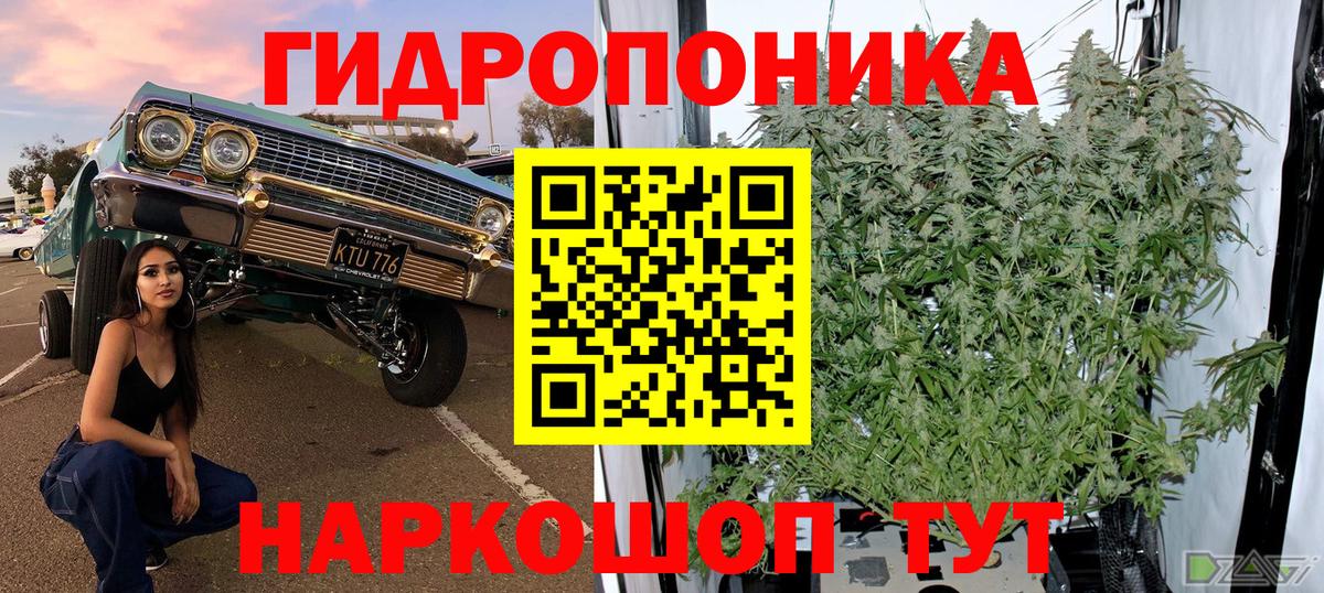 МАРИХУАНА Bruce Banner  Бошки марихуана White Widow  Вход с VPN  Отрадный  Марихуана план 
