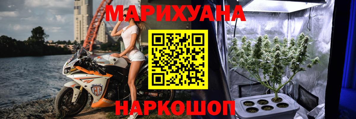 Каннабис Bruce Banner Отрадный